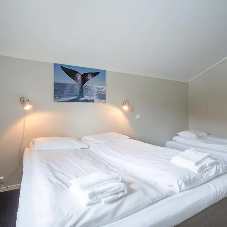 Holiday park Sauda Fjord Saudasjoen