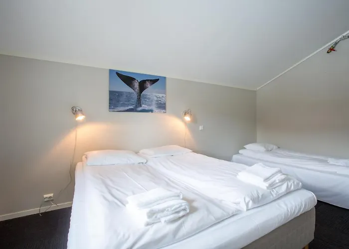 Vakantiepark Sauda Fjord Saudasjøen